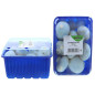 CHAMPIGNON BLANC GROSBUSCH 4X500G